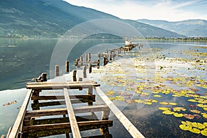 Old broken pier with boat on Plavsko lake between water lilies, Montenegro, Europe