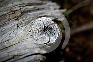 Old broken plank wood board texture background. Retro Vintage photo with use of colour filters