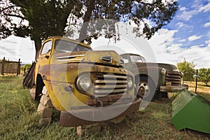 Old broken vintage cars under tree