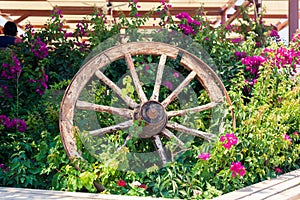 Old broken wagon wheel