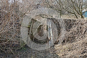 Old broken wooden fence overgrown with gray dry grass