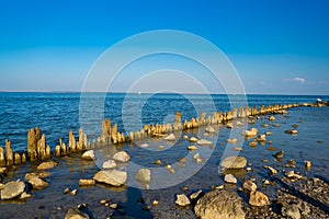 Wooden posts covered in seaweed and rocks in sea