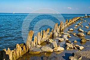 Wooden posts covered in seaweed and rocks in sea