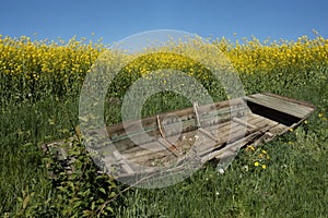 Old broken wooden rowboat in summer landscape