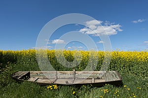 Old broken wooden rowboat in summer landscape