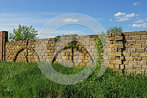 Old brown brick wall of the fence overgrown with green grass and vegetation