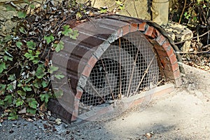 Old brown cellar window with grill dirty and overgrown on the sidewalk