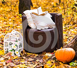 Old brown garden chair in autumn leaves