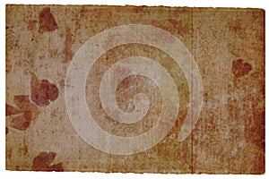 Old brown page with flower detail