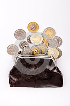 Old brown purse with scattered coins. Polish zloty coins