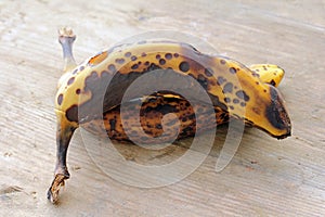 Old, brown, rotting bananas