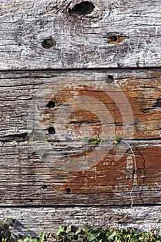 Old brown weathered distressed wood oak timber planks background