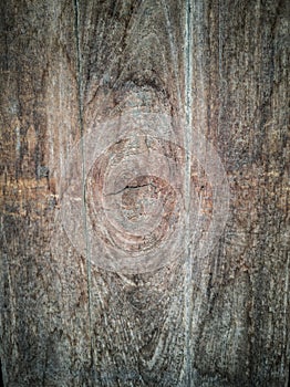 Old Brown Wood Plank with Crack Eyeball