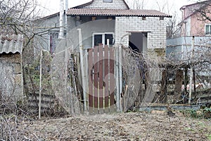 Old brown wooden door and a wall