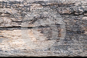 Old brown wooden plank with rough surface and texture.