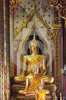 The old buddha