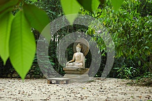 Old Buddha Statue