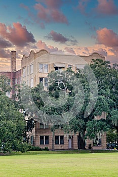 Old Building Beyond Spanish Moss in Trees