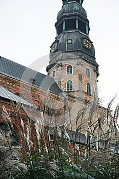 An old building with a clock against a background of reeds in non-sunny weather