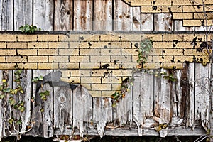 Old Building Exterior Grunge Wall