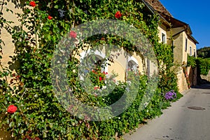 old building with flowers