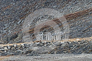 Old Building Frame in the High Arctic