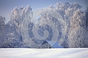 Old building near frozen forest