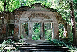 Old building ruing in forest in summer, Novohradske mountain, Czech landscape