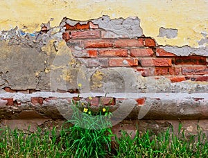 Old building wall with crack in plaster with red bricks inside