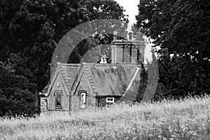 Old building in the woods