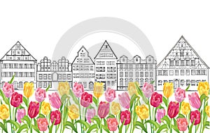 Old buildings and houses in Amsterdam with flower tulips alley.