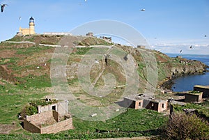 Old Buildings and Lighthouse