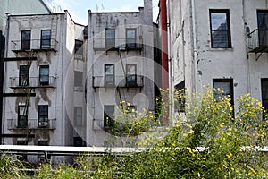 Old buildings in New York