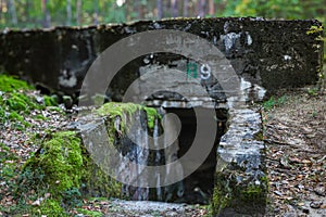 Old Bunker in the Forest Secret Forest Hideout Exploring the Woods photo