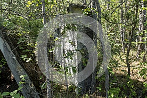 old bunker pieces in the forest