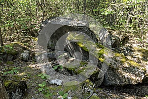 Old bunker pieces in the forest