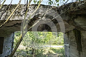 old bunker pieces in the forest