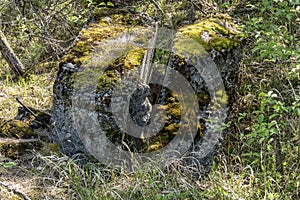 old bunker pieces in the forest