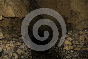 an old bunker from the world war