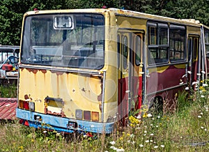 Old bus on the bus graveyard