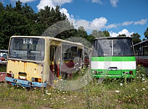 Old bus cemetery with parked buses