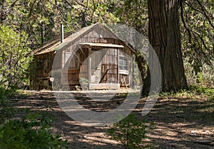 Old cabin in the forest