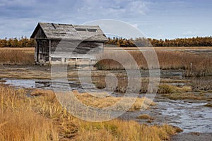 The old cabin of hot spring near Dagi village in the north Sakhalin island, Russia