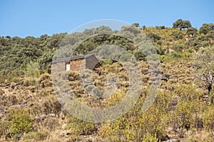 Old cabin or hut with a round shape and slate stone walls and a broom and straw roof