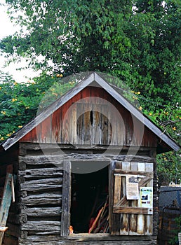 Old Cabin