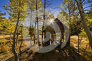 Old cabin in woods, Truckee, California