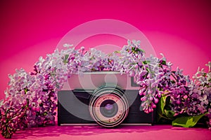 Old camera with flowers and pink background