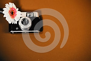 old camera with gerbera, flower