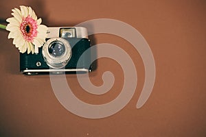 old camera with gerbera, flower