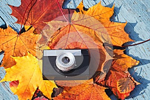 Old camera lays on a beautiful background of colorful autumn lea